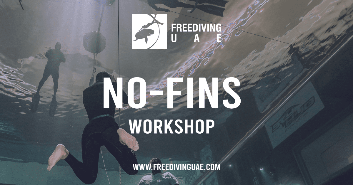 No-Fins Workshop