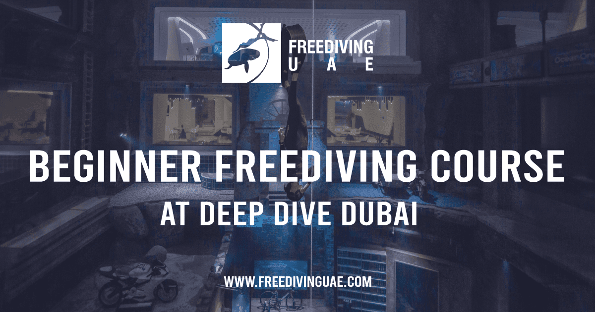 Beginner Freediving Course at Deep Dive Dubai